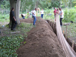 Baumsicherung