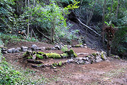 frisch angelegtes Farnbeet aus Totholz und Natursteinen