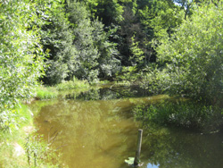Naturpark Dobersberg