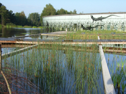 Ramsar Zentrum, Schrems, Vorderansicht