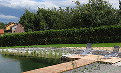 schwimmteich Echsenbach