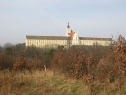 Blick aus der Froschperspektive